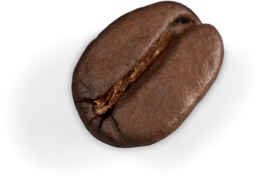Roasted Coffee Bean